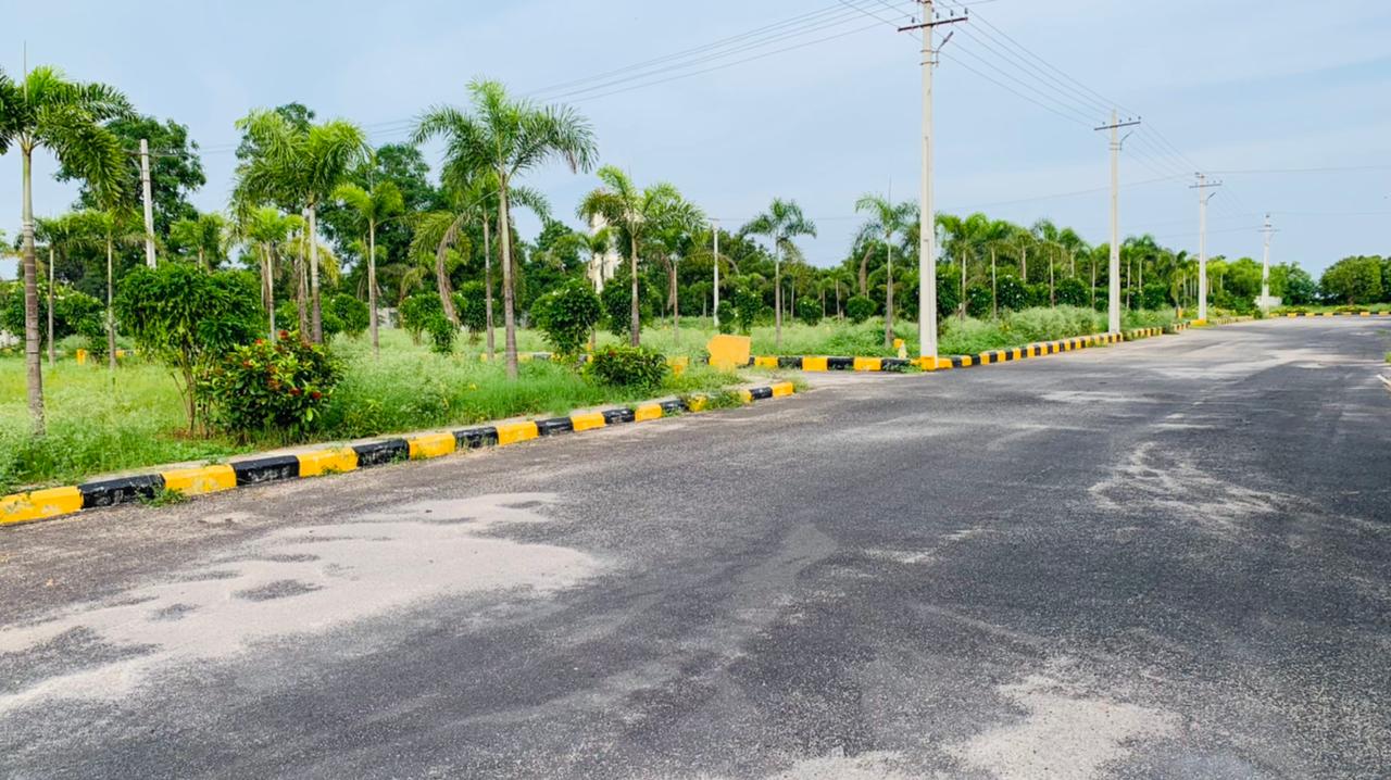 ever mark properties